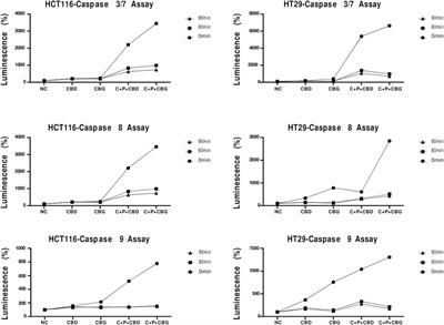 Cannabinoid compounds in combination with curcumin and piperine display an anti-tumorigenic effect against colon cancer cells